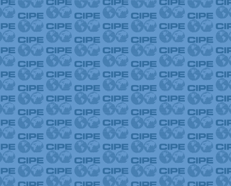 The CIPE 2008 Annual Report