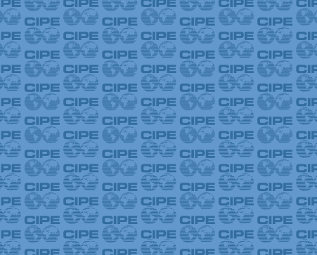 Cipe international essay image