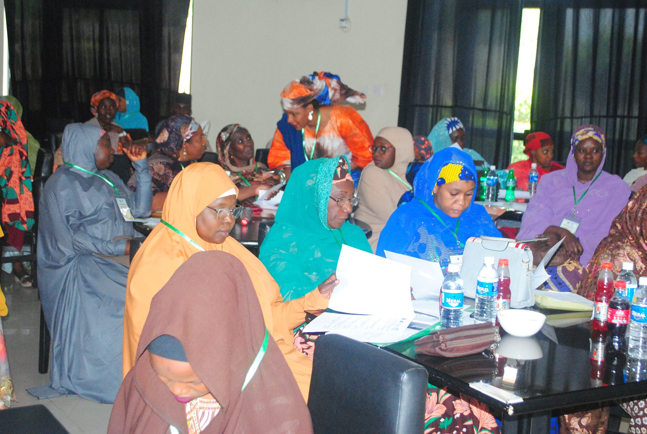 Women s Economic Empowerment Advocating For Improved Access To Finance 