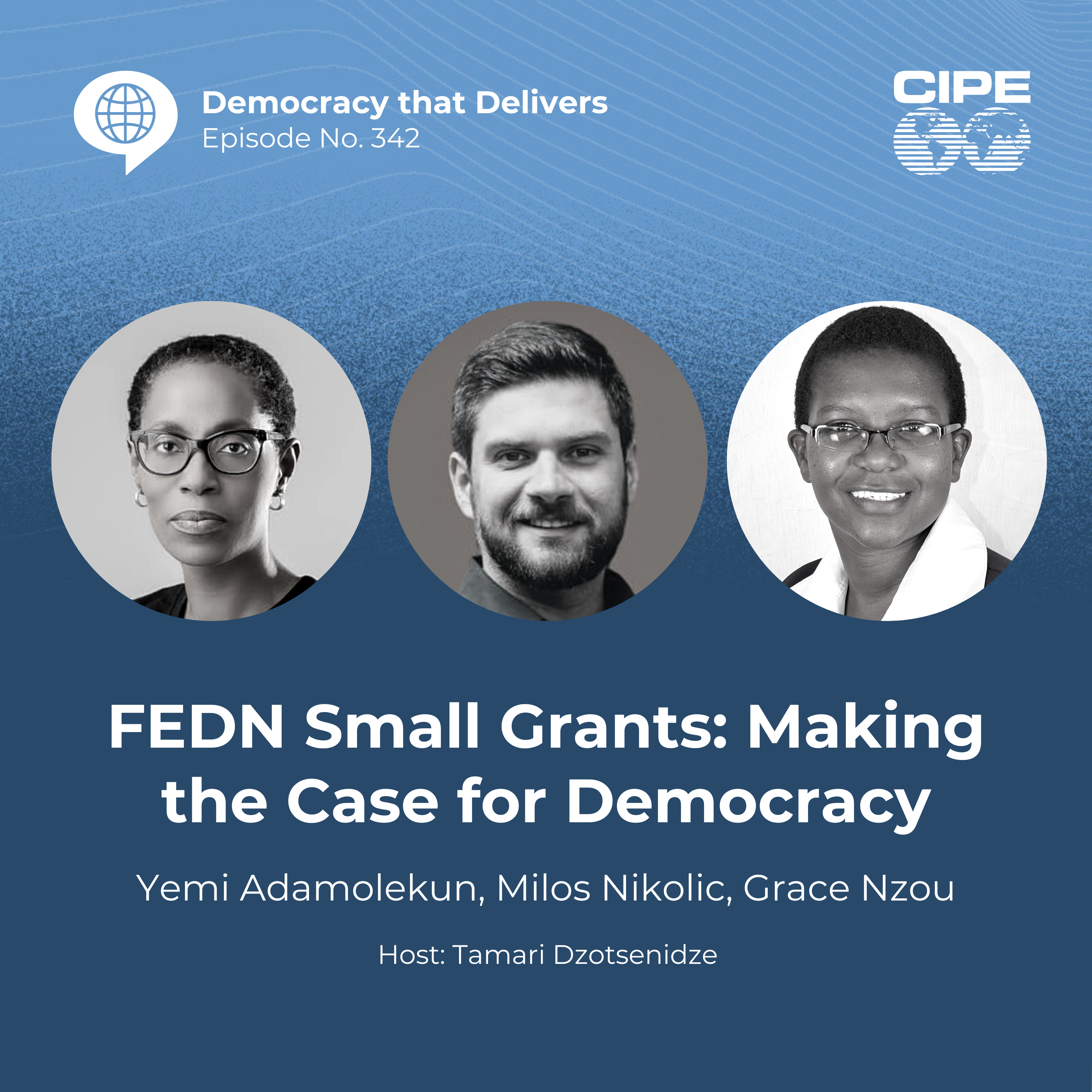 Democracy that Delivers #342: FEDN Small Grants: Making the Case for  Democracy - Center for International Private Enterprise