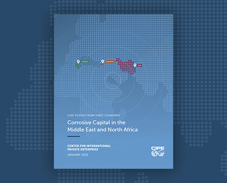Cover of the report features a stylized map of the middle east and north Africa regions.